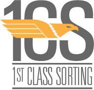 1CS logo